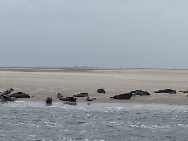 HWK Texel 111.jpg